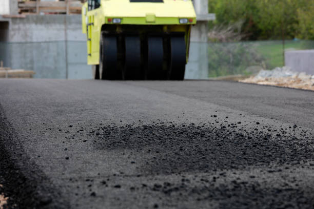 Best Driveway Pavers Near Me  in Johnsonville, SC